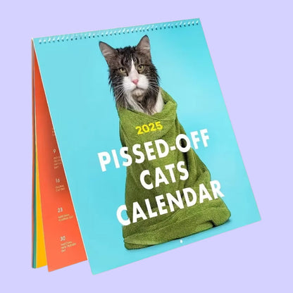 2025 Grumpy Cats Calendar